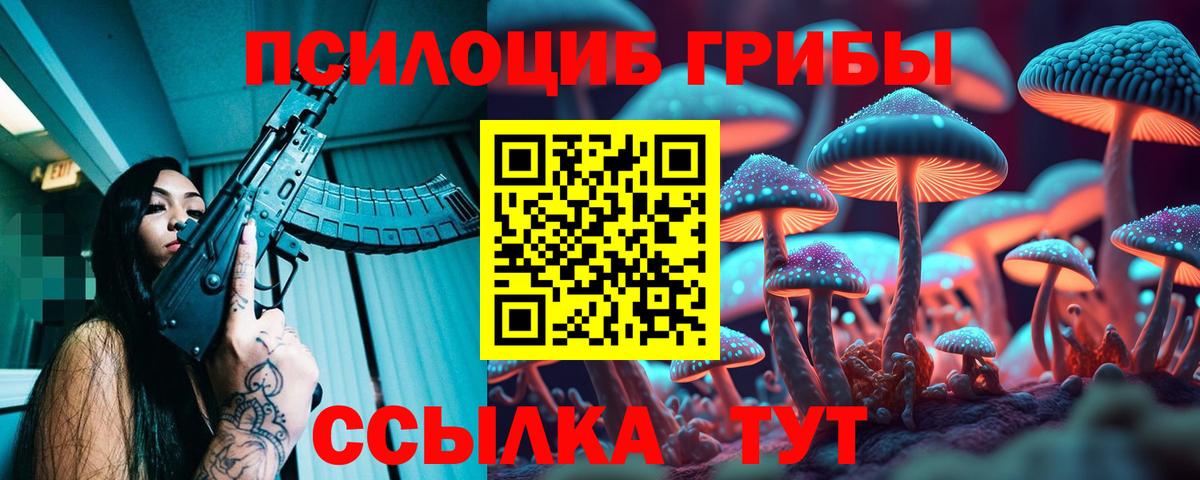 Псилоцибиновые грибы Psilocybe Изобильный